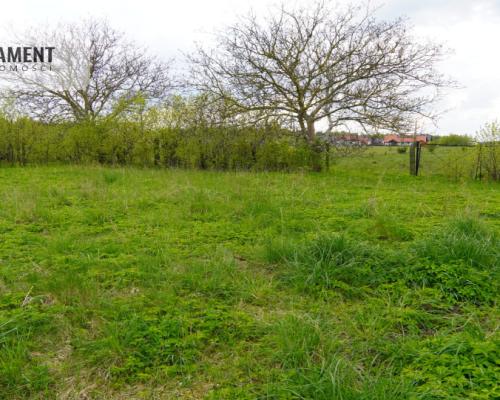 Duża działka do podziału lub inwestycji!