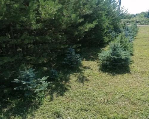 Budowlana z pozwoleniem na budowę! Promocja