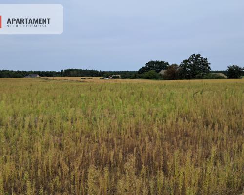 Atrakcyjne działki w Gąbinie