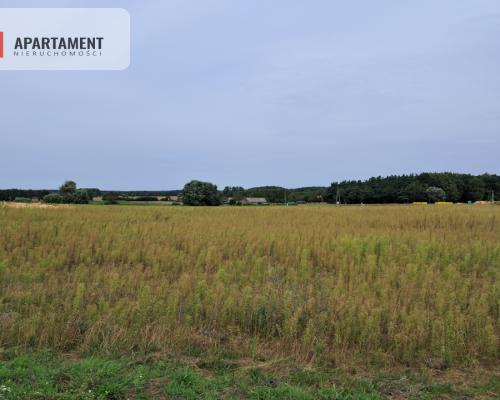 Atrakcyjne działki w Gąbinie