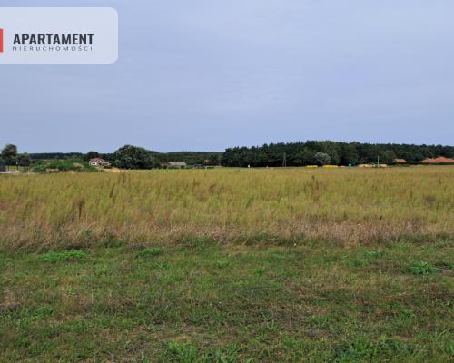 Atrakcyjne działki w Gąbinie