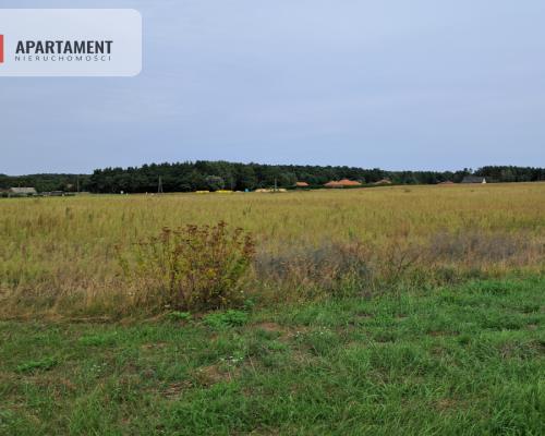 Atrakcyjne działki w Gąbinie