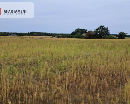 Atrakcyjne działki w Gąbinie