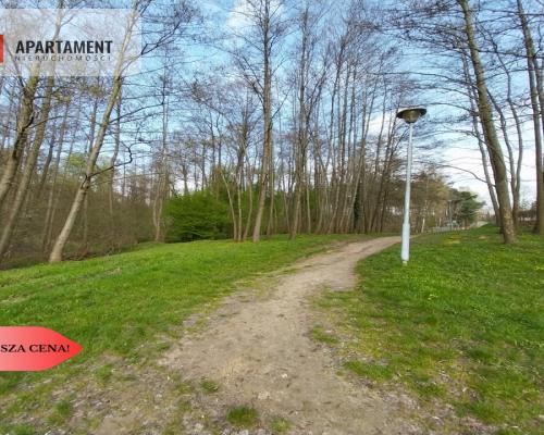 Piękna działka blisko jeziora i lasu!