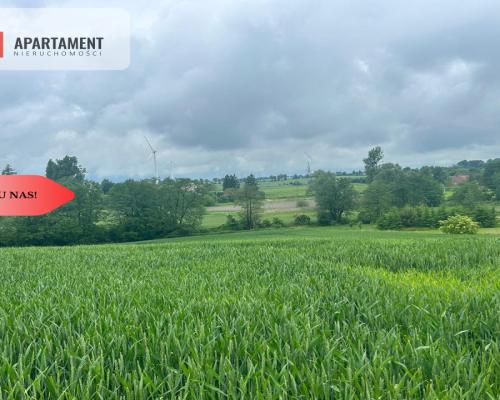 Działka z warunkami zabudowy Koniecwałd