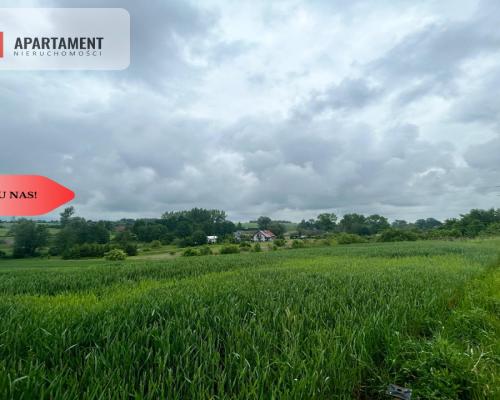 Działka z warunkami zabudowy Koniecwałd