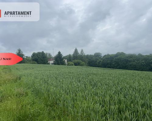 Działka z warunkami zabudowy Koniecwałd