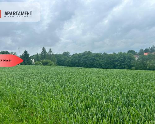 Działka z warunkami zabudowy Koniecwałd