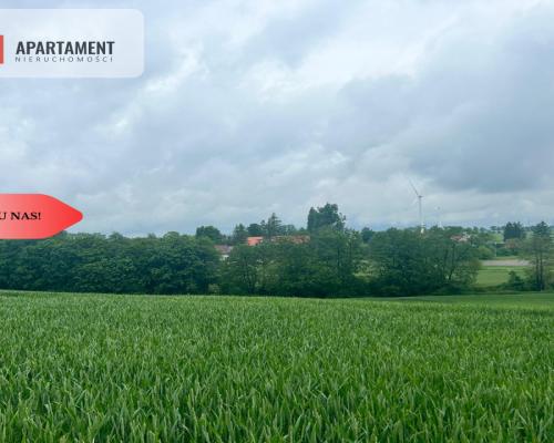 Działka z warunkami zabudowy Koniecwałd