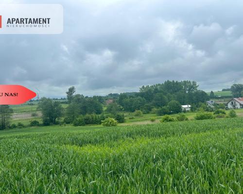 Działka z warunkami zabudowy Koniecwałd