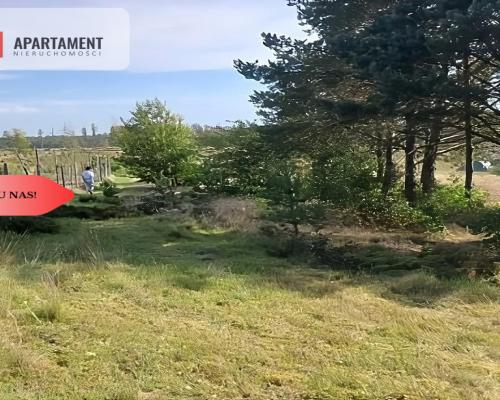 Dla kochających nature, jeziora, słońce. KASZUBY!