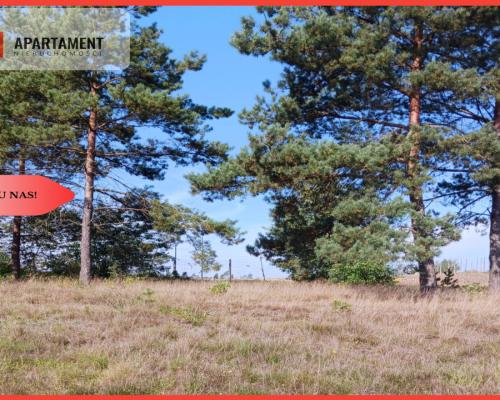 Dla kochających nature, jeziora, słońce. KASZUBY!