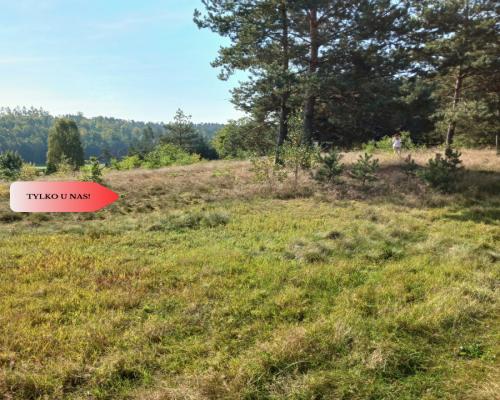 Dla kochających nature, jeziora, słońce. KASZUBY!