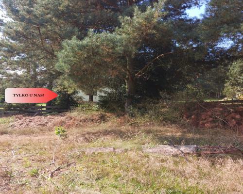 Dla kochających nature, jeziora, słońce. KASZUBY!