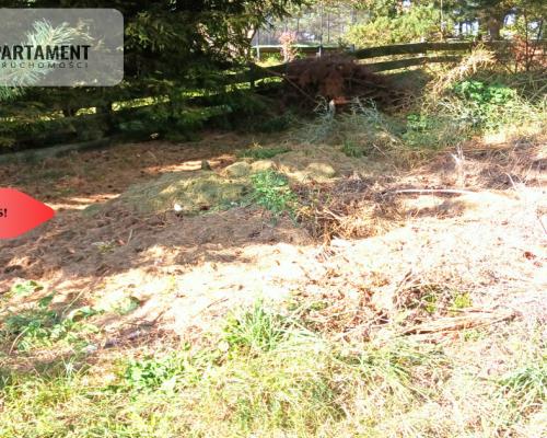 Dla kochających nature, jeziora, słońce. KASZUBY!