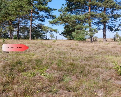 Dla kochających nature, jeziora, słońce. KASZUBY!