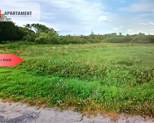 DZIAŁKA ROLNA 1,93ha LUDWIKOWO CISZA SPOKÓJ