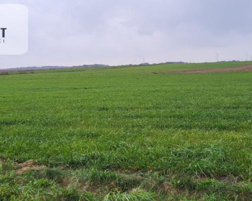 Działki budowlane - Wyrzysk Skarbowy