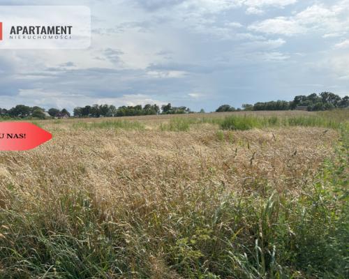 Gotowa działka budowlana Gołębiewo Wlk.