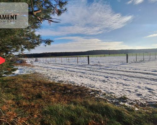 Z miasta na wieś! Idealne miejsce do zamieszkania.