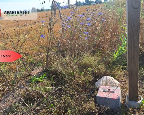 Z miasta na wieś! Idealne miejsce do zamieszkania.