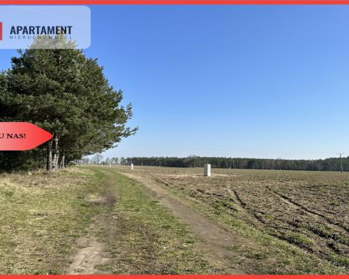 Z miasta na wieś! Idealne miejsce do zamieszkania.