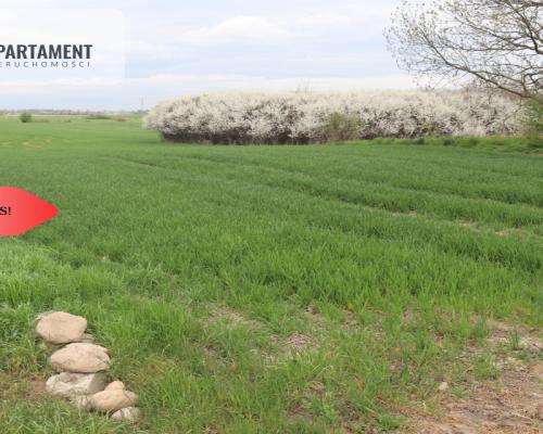 Działka rolna 0,95 ha/Wilków Średzki/Dobry dojazd