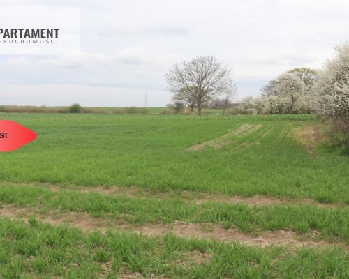 Działka rolna 0,95 ha/Wilków Średzki/Dobry dojazd