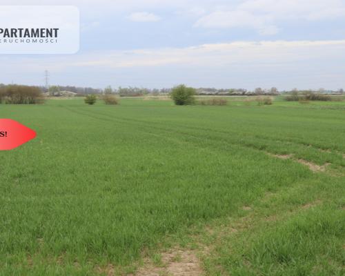 Działka rolna 0,95 ha/Wilków Średzki/Dobry dojazd