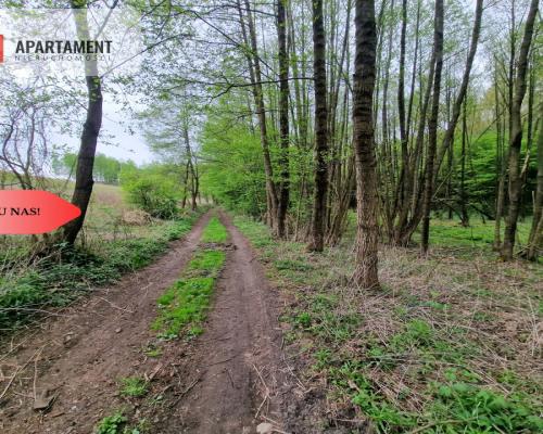 Gospodarstwo w głuszy! Las! Rzeka!