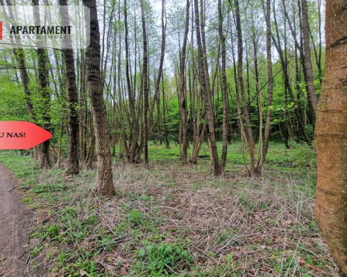 Gospodarstwo w głuszy! Las! Rzeka!