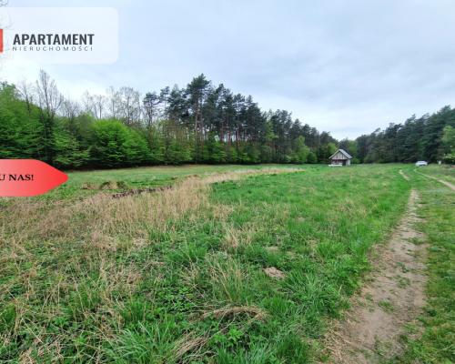 Gospodarstwo w głuszy! Las! Rzeka!