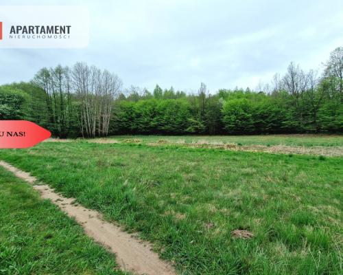 Gospodarstwo w głuszy! Las! Rzeka!