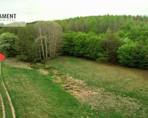 Gospodarstwo w głuszy! Las! Rzeka!