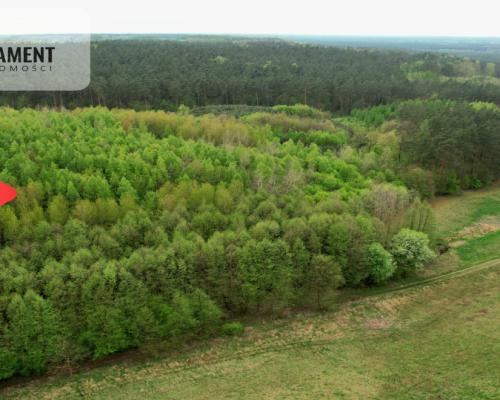 Gospodarstwo w głuszy! Las! Rzeka!