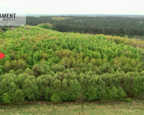 Gospodarstwo w głuszy! Las! Rzeka!