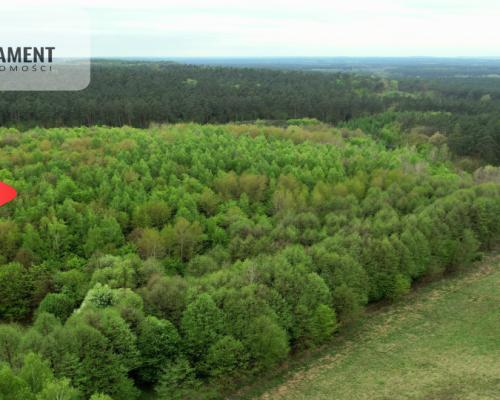 Gospodarstwo w głuszy! Las! Rzeka!