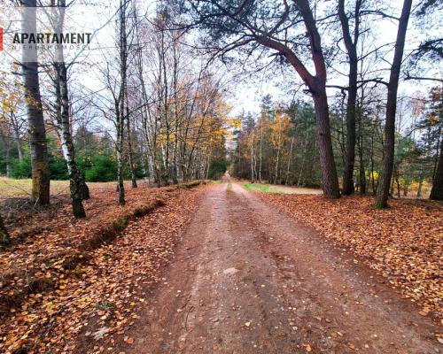 Działka rekreacyjna z dużym potencjałem!!!!