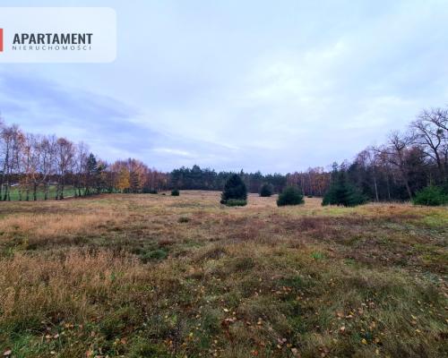 Działka rekreacyjna z dużym potencjałem!!!!