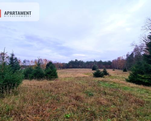 Działka rekreacyjna z dużym potencjałem!!!!