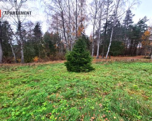 Działka rekreacyjna z dużym potencjałem!!!!