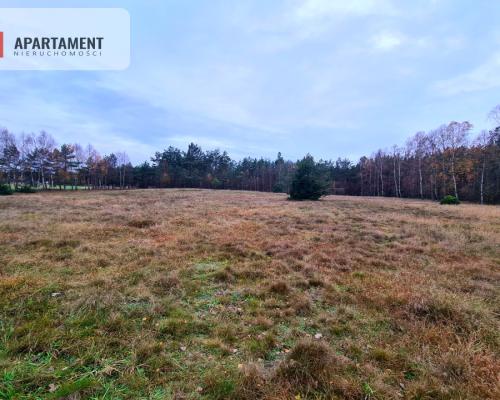 Działka rekreacyjna z dużym potencjałem!!!!