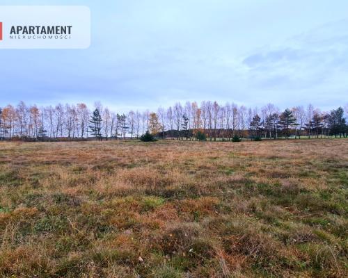 Działka rekreacyjna z dużym potencjałem!!!!