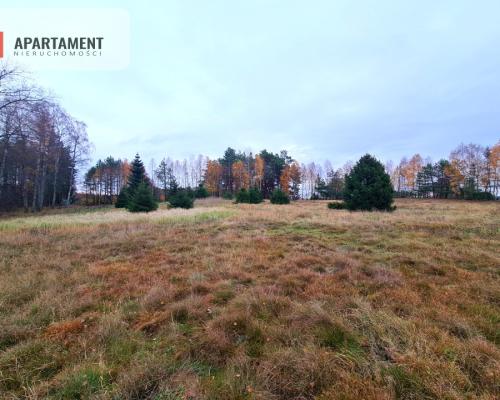 Działka rekreacyjna z dużym potencjałem!!!!
