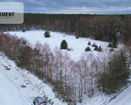 Działka rekreacyjna z dużym potencjałem!!!!