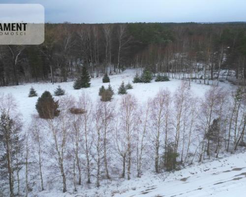 Działka rekreacyjna z dużym potencjałem!!!!