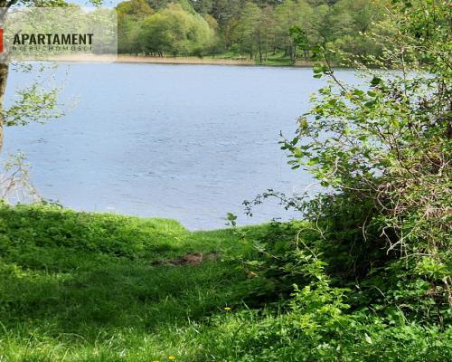 Działki z linią brzegową jeziora