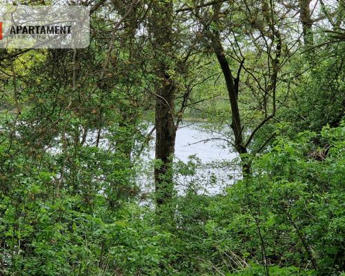 Działki z linią brzegową jeziora