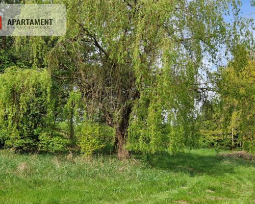 Działki z linią brzegową jeziora