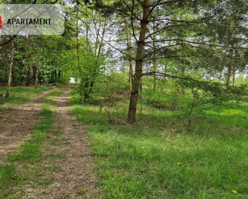 Działki z linią brzegową jeziora